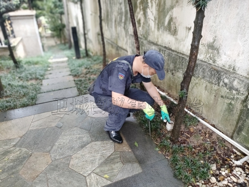 深圳市福田区白蚁防治中心电话-深圳市福田区白蚁防治-上门灭白蚁公司电话