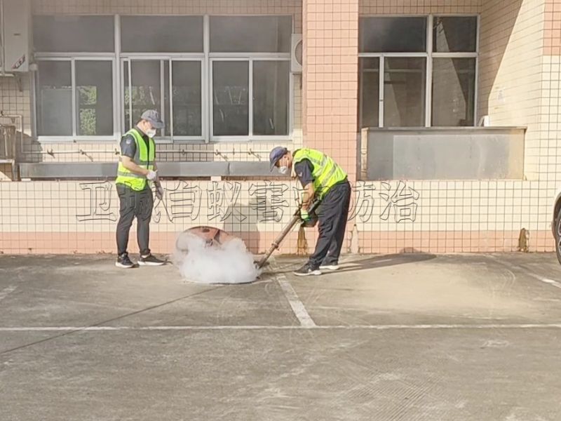 清溪杀虫公司,工厂宿舍谢岗杀臭虫,东莞樟木头灭蟑螂蚊子螨虫