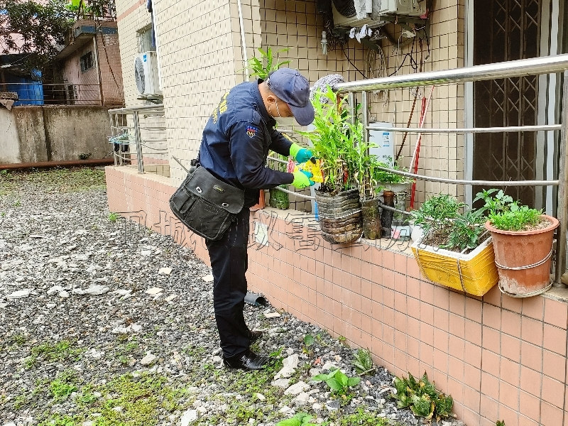 大朗灭鼠公司,东莞工厂谢岗灭鼠,正规资质认证桥头除老鼠