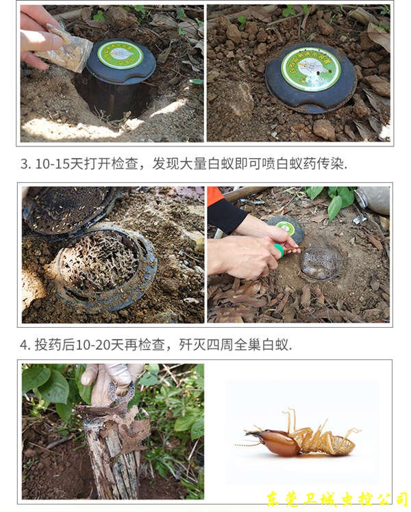 东莞灭白蚁引诱箱,别墅监测白蚁装置,园林白蚁绿化诱杀箱