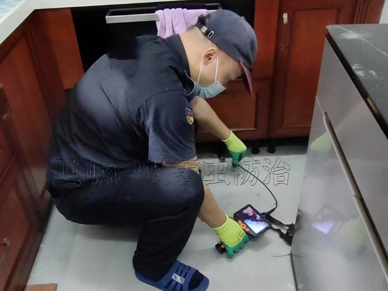 增城区灭白蚁,黄埔区白蚁防治中心【卫城专业有保障】